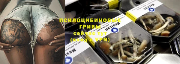 амфетамин Новодвинск